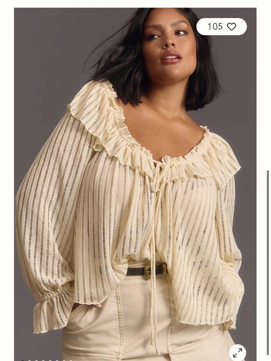 Anthropologie Tops - By Anthropologie Long-Sleeve Sheer Striped Crop Blouse